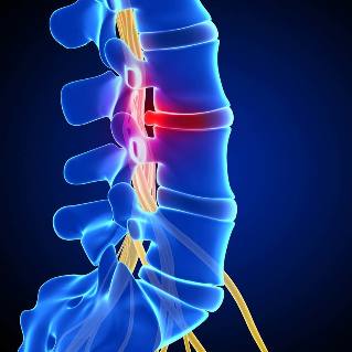 la médula espinal